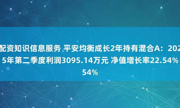 配资知识信息服务 平安均衡成长2年持有混合A：2025年第二季度利润3095.14万元 净值增长率22.54%