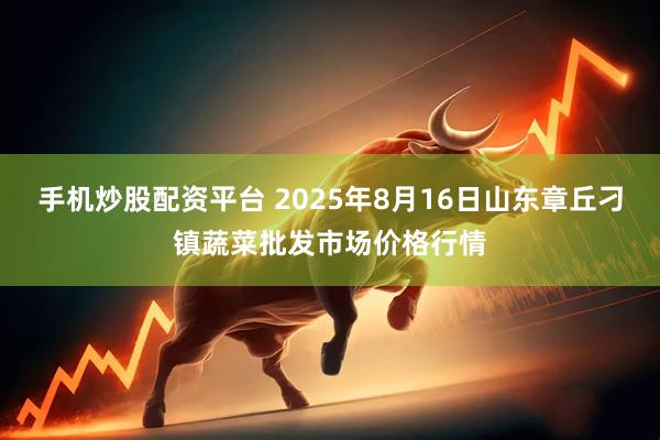 手机炒股配资平台 2025年8月16日山东章丘刁镇蔬菜批发市场价格行情