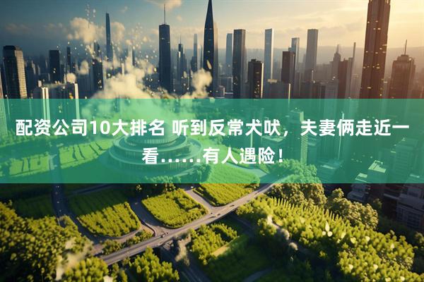 配资公司10大排名 听到反常犬吠,夫妻俩走近一看……有人遇险!